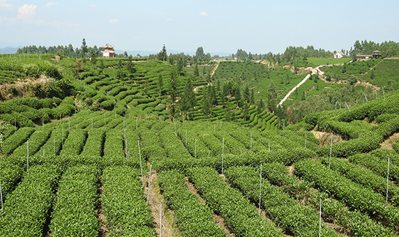 2025新澳门资料免费大全